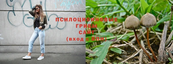 spice Новодвинск